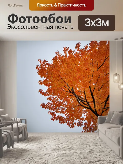 Фотообои оранжевый цвет: дерево с оранжевыми листьями на фоне нейтрального серого неба