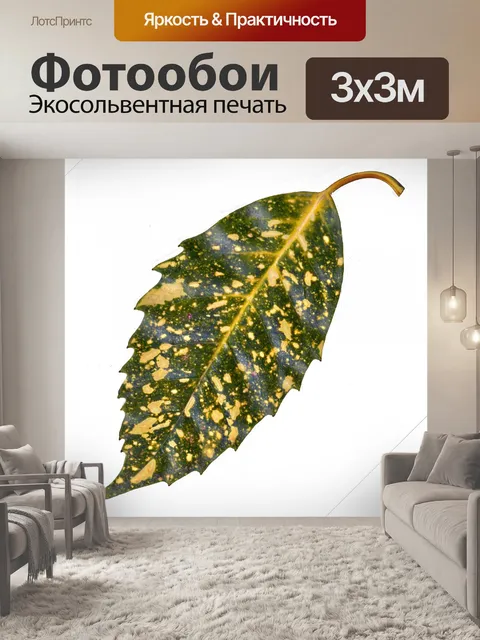 Фотообои зеленый лист