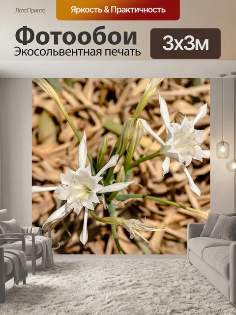 Фотообои Цветок