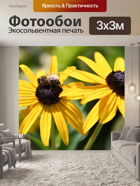 Фотообои Цветет