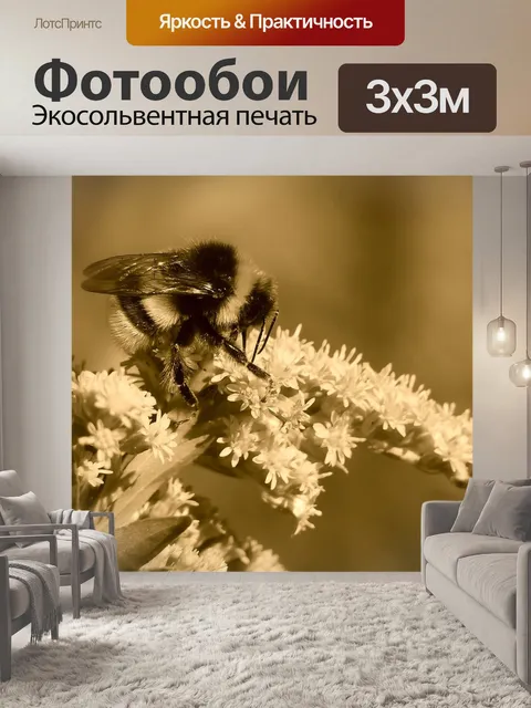 Фотообои Шмель газ