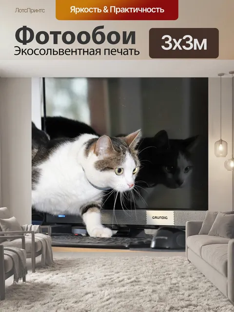 Фотообои Кот