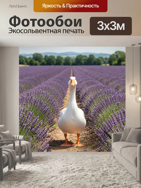 Фотообои Белый гусь в лавандовом поле