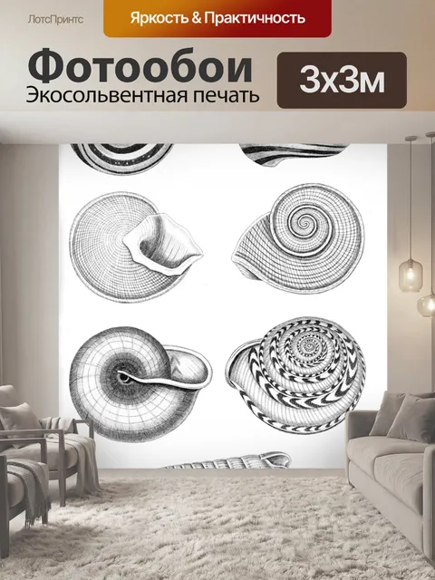 Фотообои Клипарт ракушки винтажное искусство