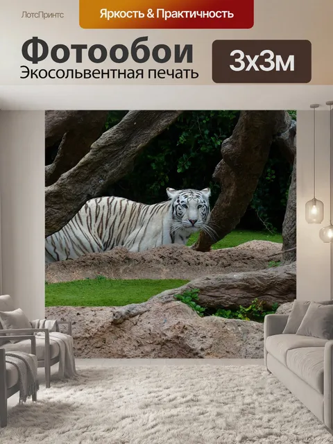 Фотообои Белый бенгальский тигр