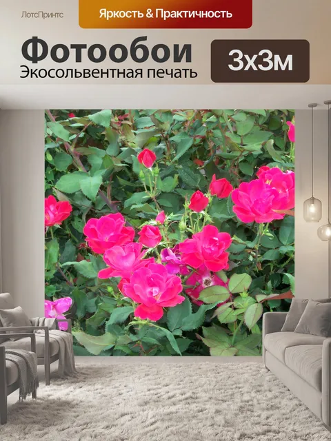 Фотообои Красные розы