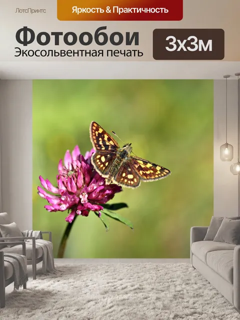 Фотообои Бабочка