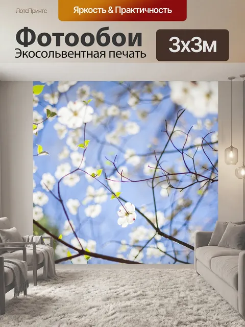 Фотообои Ветви