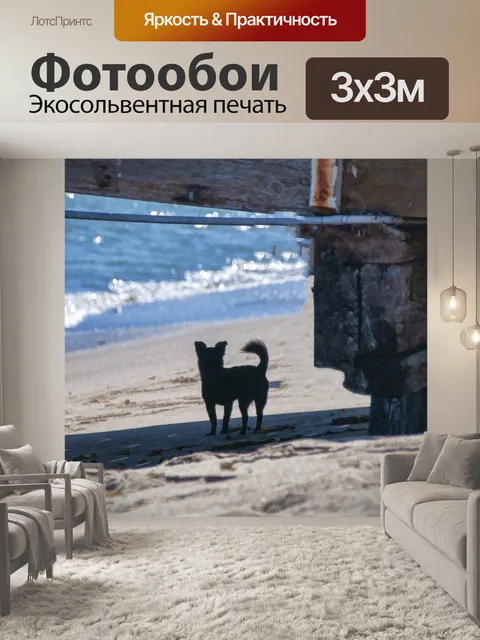 Фотообои Собака под пирсом