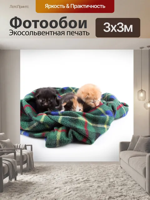 Фотообои Красивая кошка