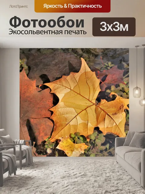 Фотообои Осенние листья в ручье крупным планом