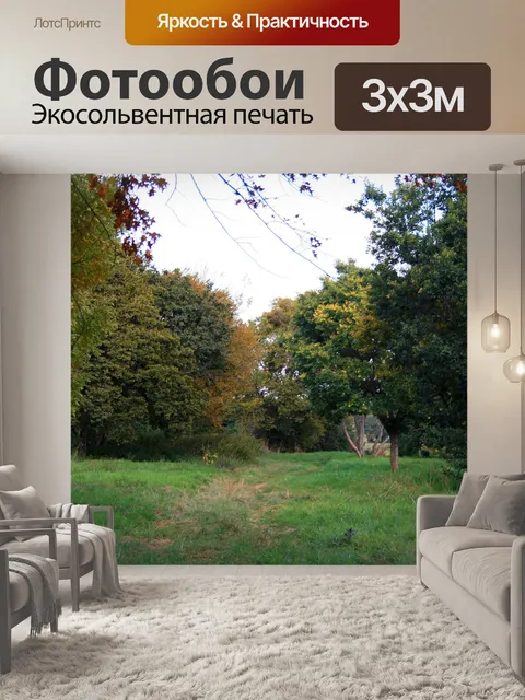 Фотообои парковая зона с деревьями