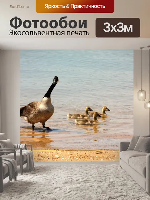 Фотообои Мать Гуз и Гослинг на пляже