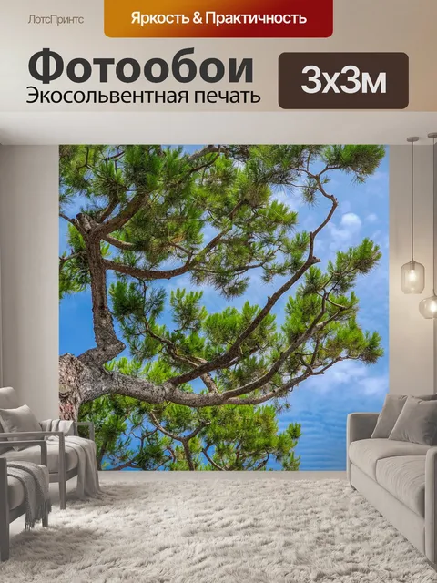 Фотообои Сосна и голубое небо