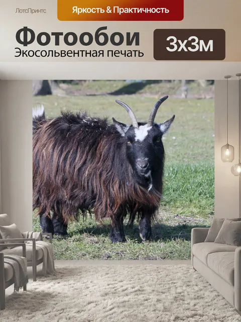Фотообои Козел