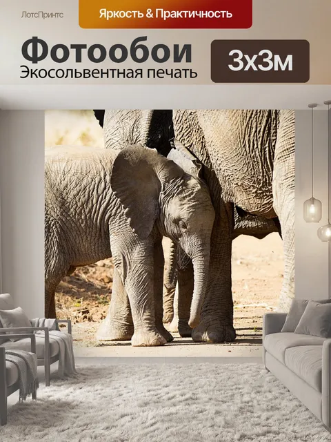 Фотообои Слон