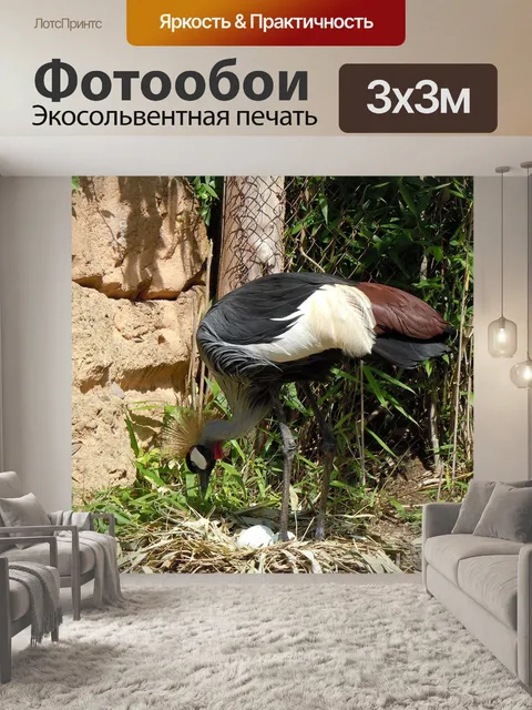 Фотообои Райский журавль