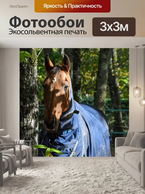 Фотообои Лошадь