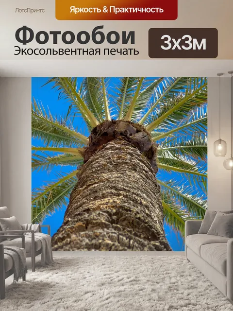 Фотообои Пальма и голубое небо