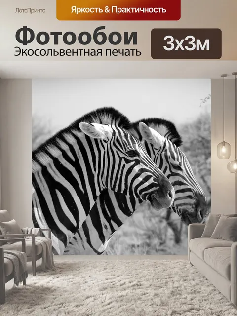 Фотообои Зебра