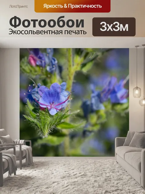 Фотообои синие цветы, полевые цветы, бутоны,