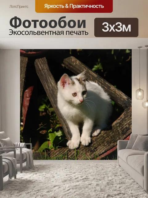 Фотообои Кошка