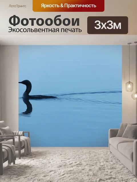 Фотообои Птица