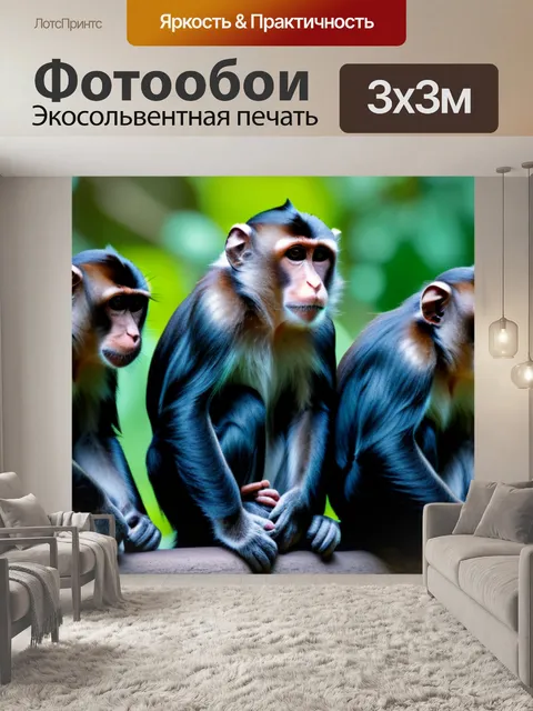 Фотообои с обезьянами