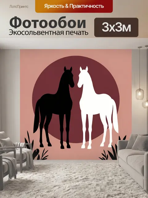 Фотообои Черный и белый конь