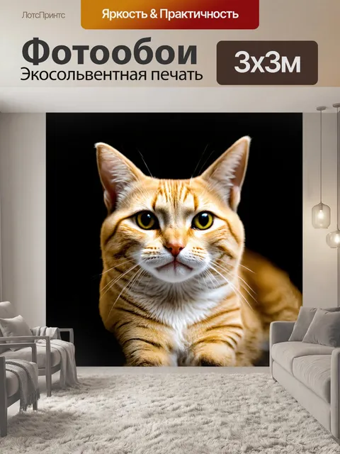 Фотообои кошачья морда с усами крупным планом
