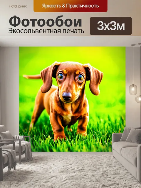 Фотообои снимок щенка таксы, играющего в зеленом травяном поле под ярким солнечным светом