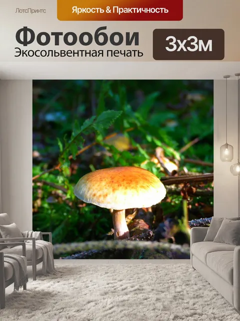 Фотообои Гриб