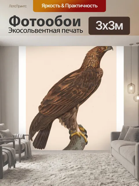 Фотообои Винтажная иллюстрация хищной птицы