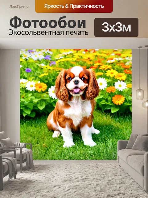 Фотообои собака кавалер кинг чарльз спаниель, сидящая на лужайке с разными цветами, радостная