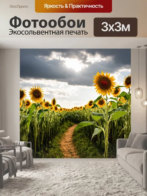 Фотообои поле под облачным небом