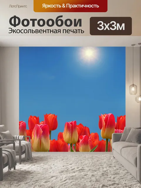 Фотообои Тюльпаны цветы голубое небо