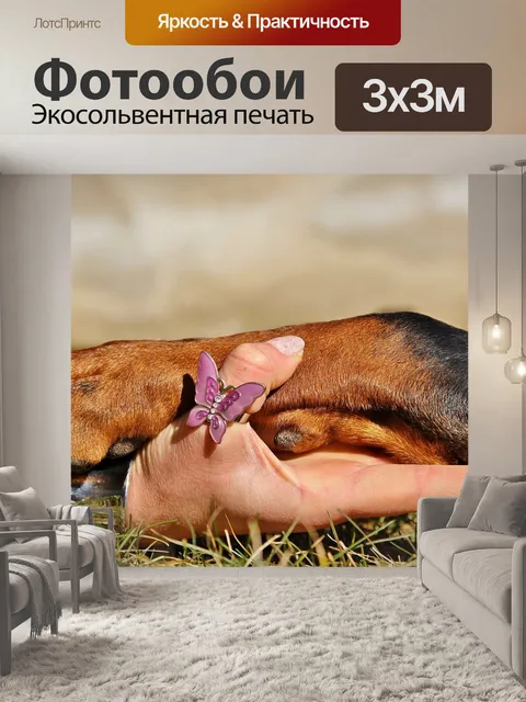 Фотообои Лапа собака