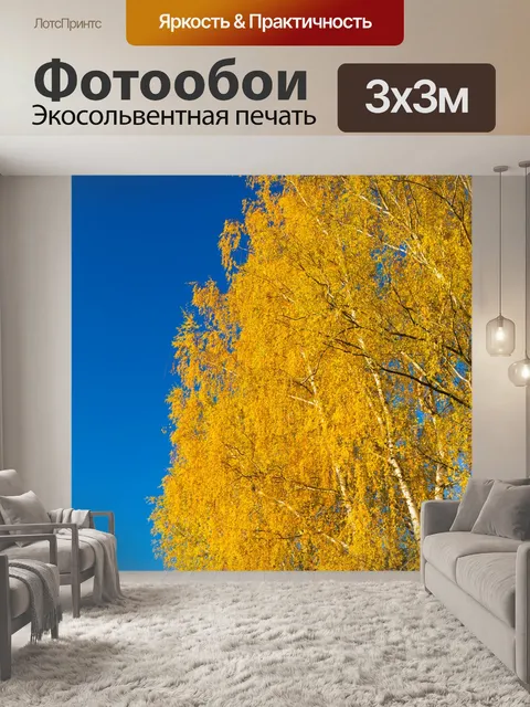 Фотообои Береза осенью