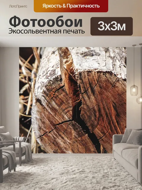 Фотообои Ствол