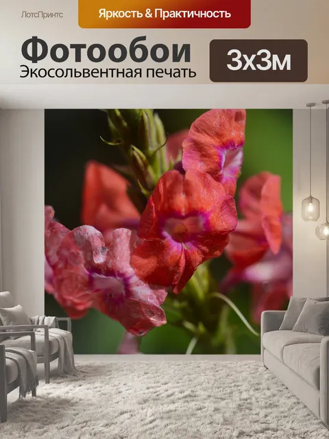 Фотообои Коста-рика