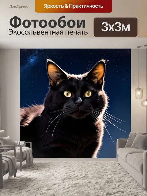 Фотообои черный кот с глянцевой шерстью на фоне ночного неба, в котором заметны яркие звезды