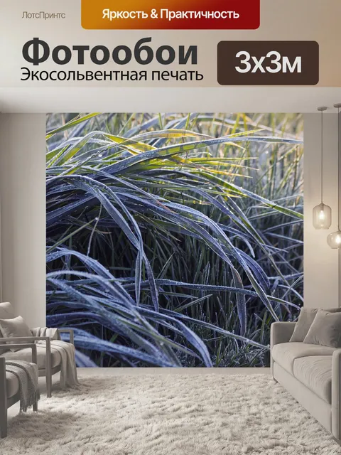 Фотообои Утренний мороз