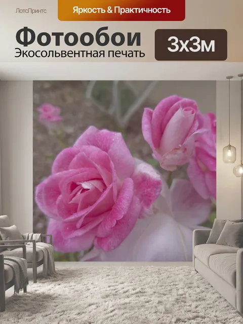 Фотообои Розовые розы