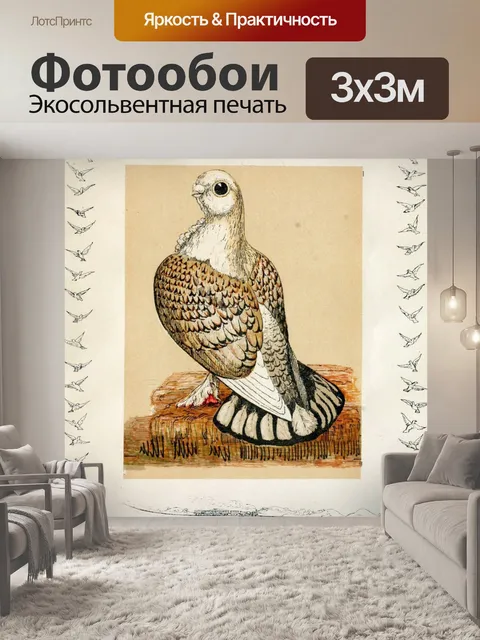Фотообои Голубь птица винтаж старый