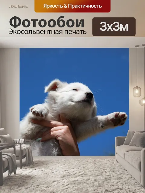 Фотообои Собака