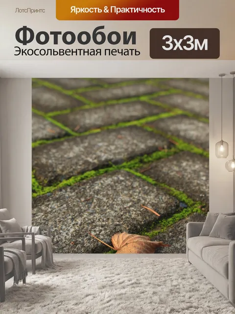 Фотообои Лист