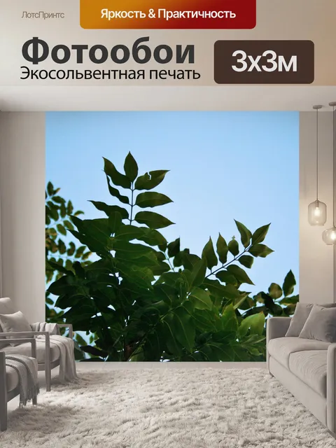 Фотообои мыс ясень