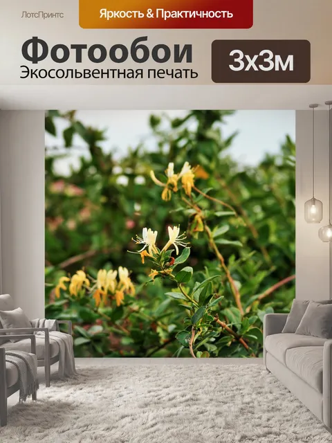 Фотообои жимолость лианы с цветами