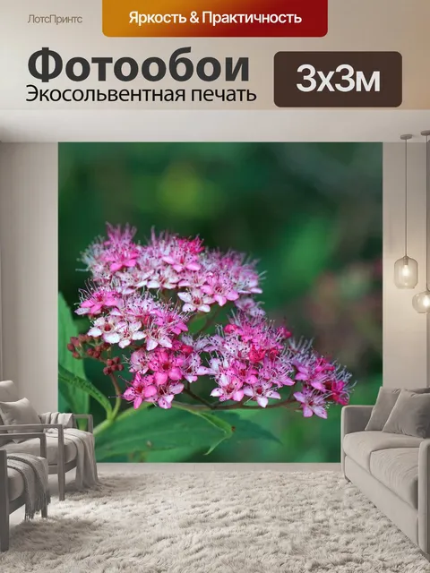 Фотообои брызги маленьких розовых цветов