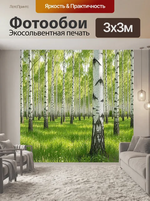 Фотообои Берёзовый лес с зелёной поляной